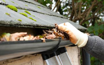 gutter cleaning Lundie, Angus
