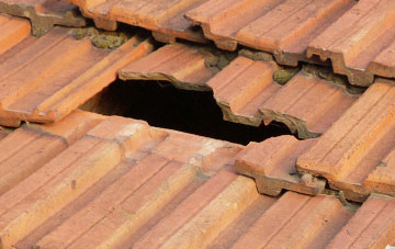 roof repair Lundie, Angus